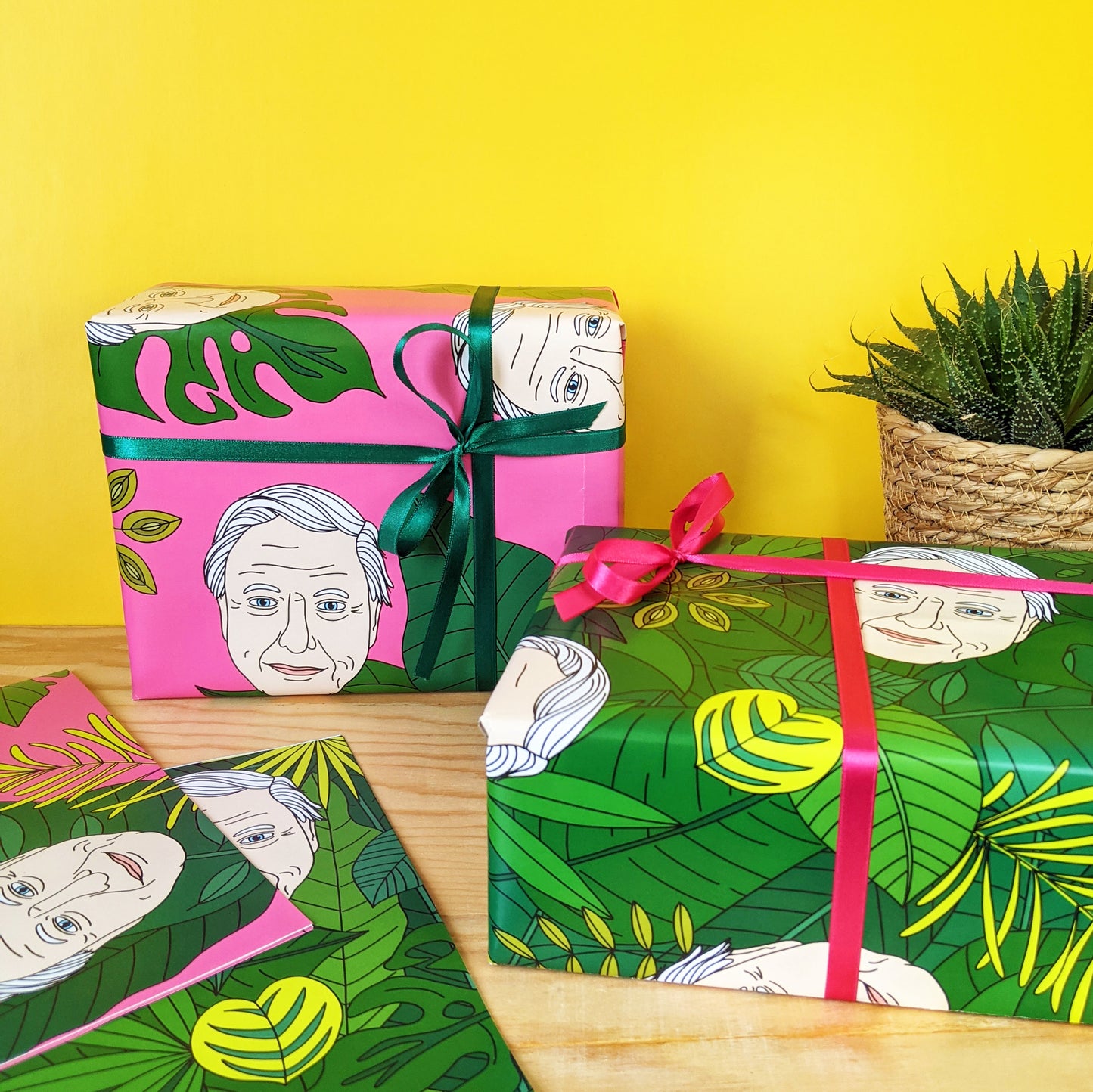David Attenborough Gift Wrapping Paper Set