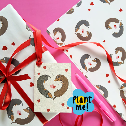 Sausage Dogs Love Gift Wrapping Paper