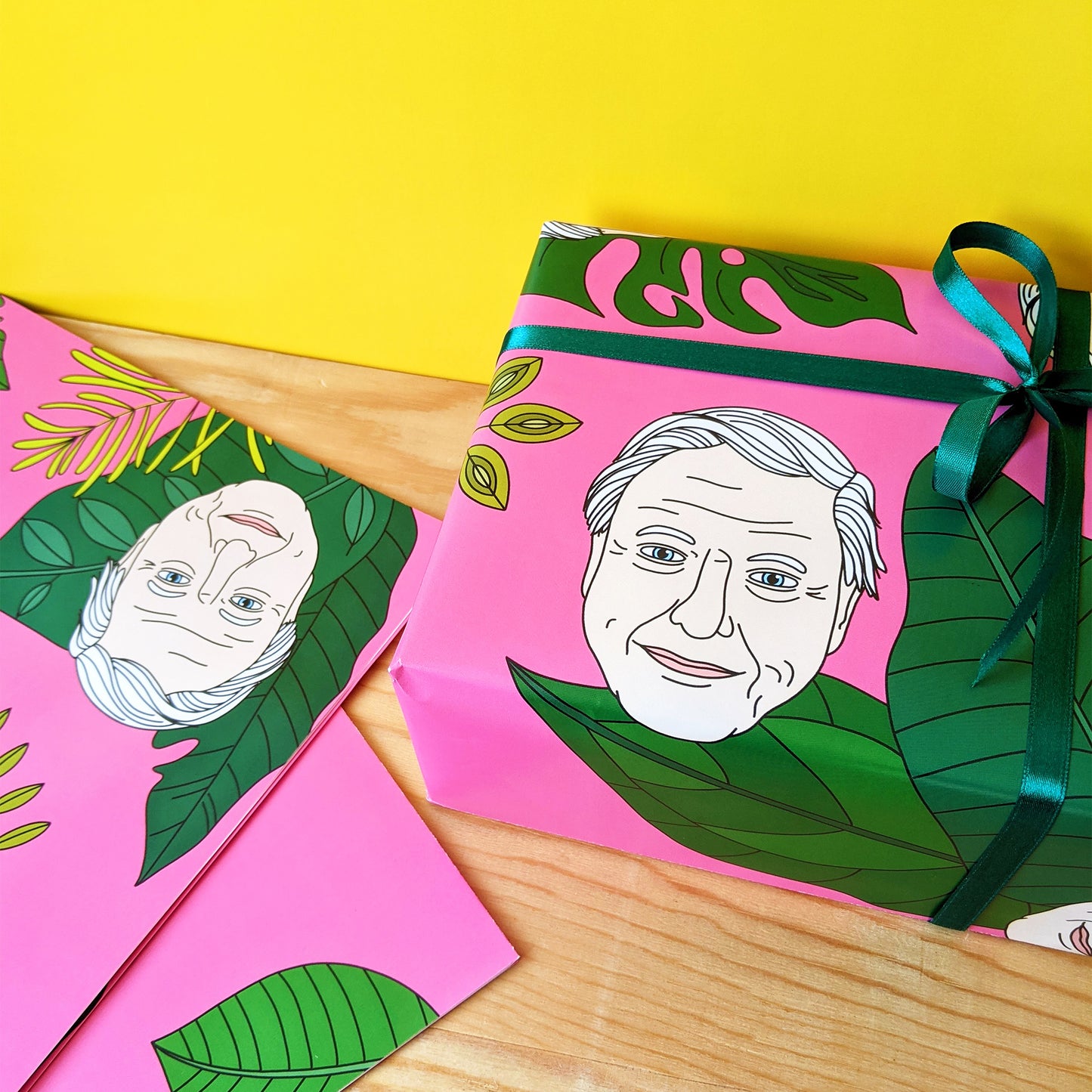 David Attenborough Gift Wrapping Paper Pink Tropical